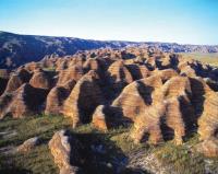 Bungle Bungle Guided Tours image 3